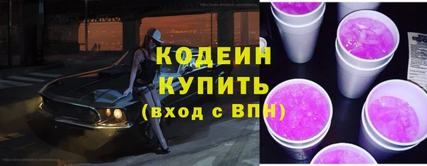 гашик Аркадак