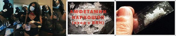 гашик Аркадак