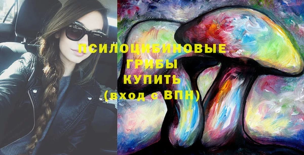 крисы Армянск