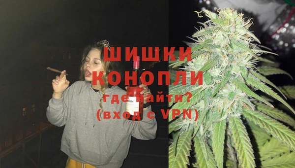 спайс Ельня