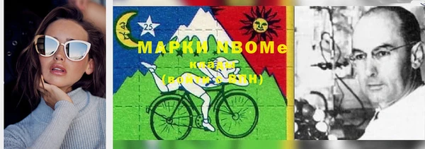 гашик Аркадак