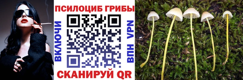 наркошоп  Ряжск  Псилоцибиновые грибы Magic Shrooms 
